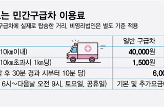 '가짜 응급' 앰뷸런스, GPS로 잡는다
