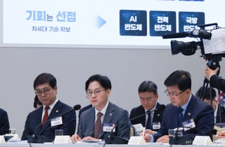 "기업 외롭게 두지 않겠다"…반도체·AI로봇에 '재정·인프라' 총력 지원