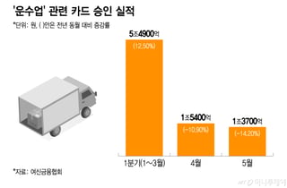 항공권 '미리 끊기' 통했나… 유류할증료 폭등 뒤 카드 결제 급감