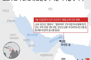 UAE "호르무즈 내 유조선 2척, 이란 미사일에 피격...9명 사상"