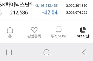 50억이 29억으로...하이닉스 '레버리지' 개미 "-21억, 그래도 버틴다"