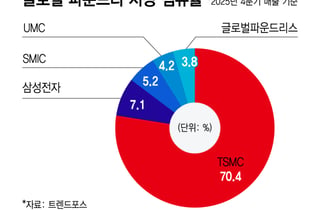 도미노 '칩플레이션'에 스마트폰·PC 가격도 들썩