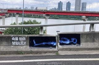성수대교 '9cm 단차'에 절단난 척추 엑스레이…광고천재 "문제 없다?"