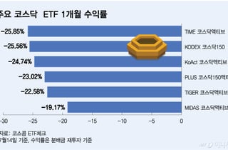 외인 사는데 그 많던 개미들 어디에…800 회복 코스닥, ETF는 -20%대