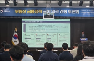 "대출 총량규제, 충분치 않아…고액 차주 대상 부담금 부과 필요"