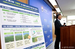 논에 벼 대신 풀 심는다…'사료피'가 전략작물 새 카드로