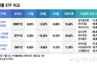 반도체 출렁일 때 "화장품株 뜬다"...수익률 높은 ETF는?[ETFvsETF]