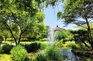 산림청, 수목원·식물원 10선 추천…도심 더위 식힐 숲캉스 제안