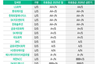 중국에 밀린 원가 경쟁력, 석유화학 신용등급 상반기 상향 '0곳'