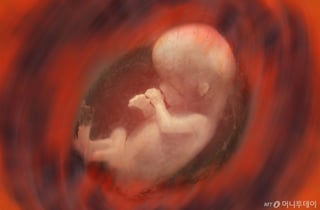 '36주 낙태' 항소심, 병원장 징역 6년→4년…유튜버 여성 무죄로 뒤집혀