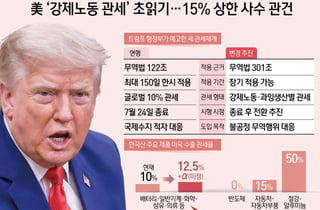 '꼼수 관세' 꺼낸 트럼프, 강제노동 관세 60개국 부과...한국 12.5%