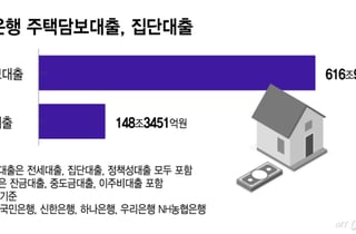 잔금대출 뿐 아니라 이주비·중도금도 '핀셋지원'..총량규제 1.5%는 유지
