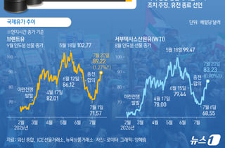 후티 "홍해 전면 폐쇄 아냐…사우디에 제한된 봉쇄"