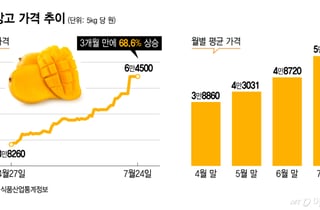 성심당도 "망고시루 조기종료"...망고값 세 달 만에 68% 껑충