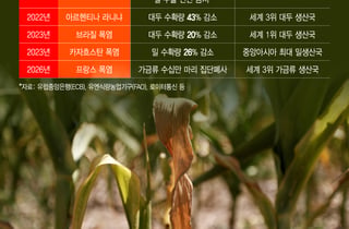 '폭염물가' 인도·태국 쌀값 폭등…"세계농업 500조 증발"