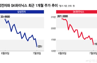 "내 주식은 왜 내려"...삼전닉스 빠지면 코스피 전체가 '출렁'