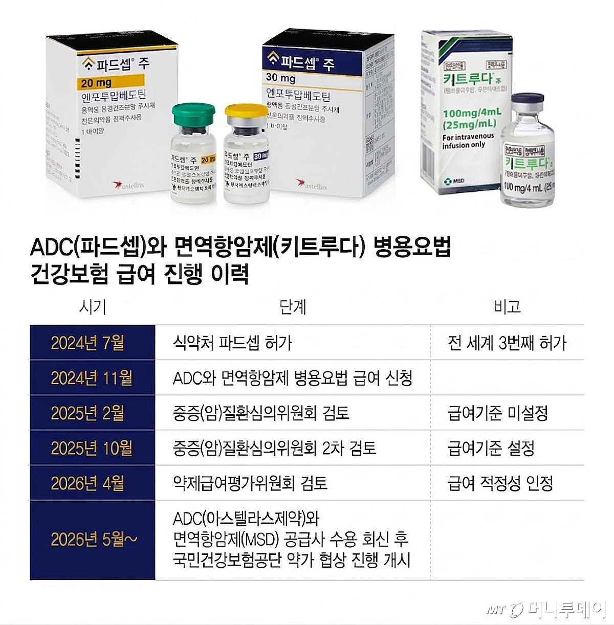 타사 간 혁신 신약 병용요법 급여 초읽기...K바이오도 "관심 집중" - 뉴스 썸네일 이미지