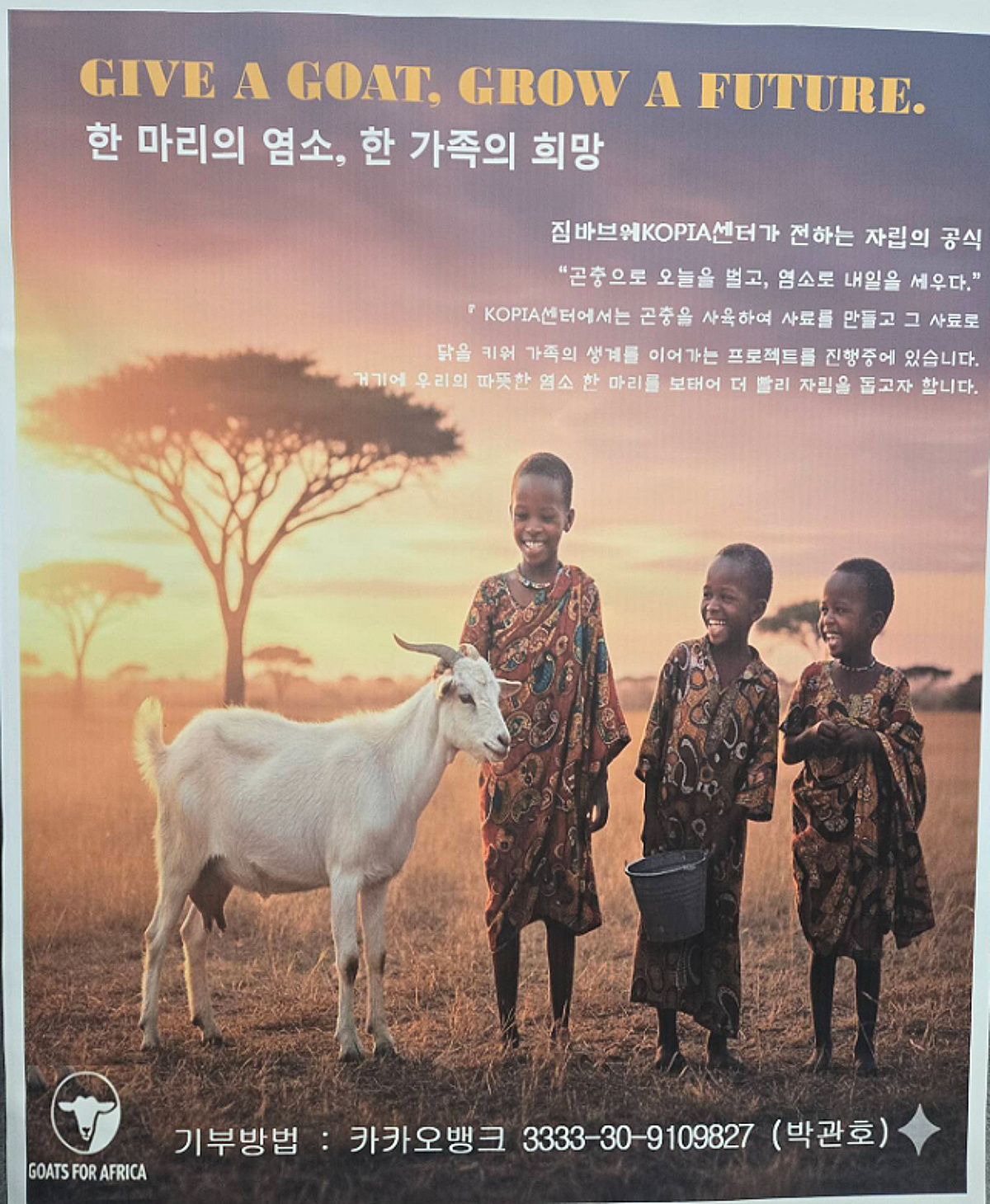 나눔의 기쁨, 아프리카까지...K-농업이 전하는 '자립의 공식' - 뉴스 썸네일 이미지