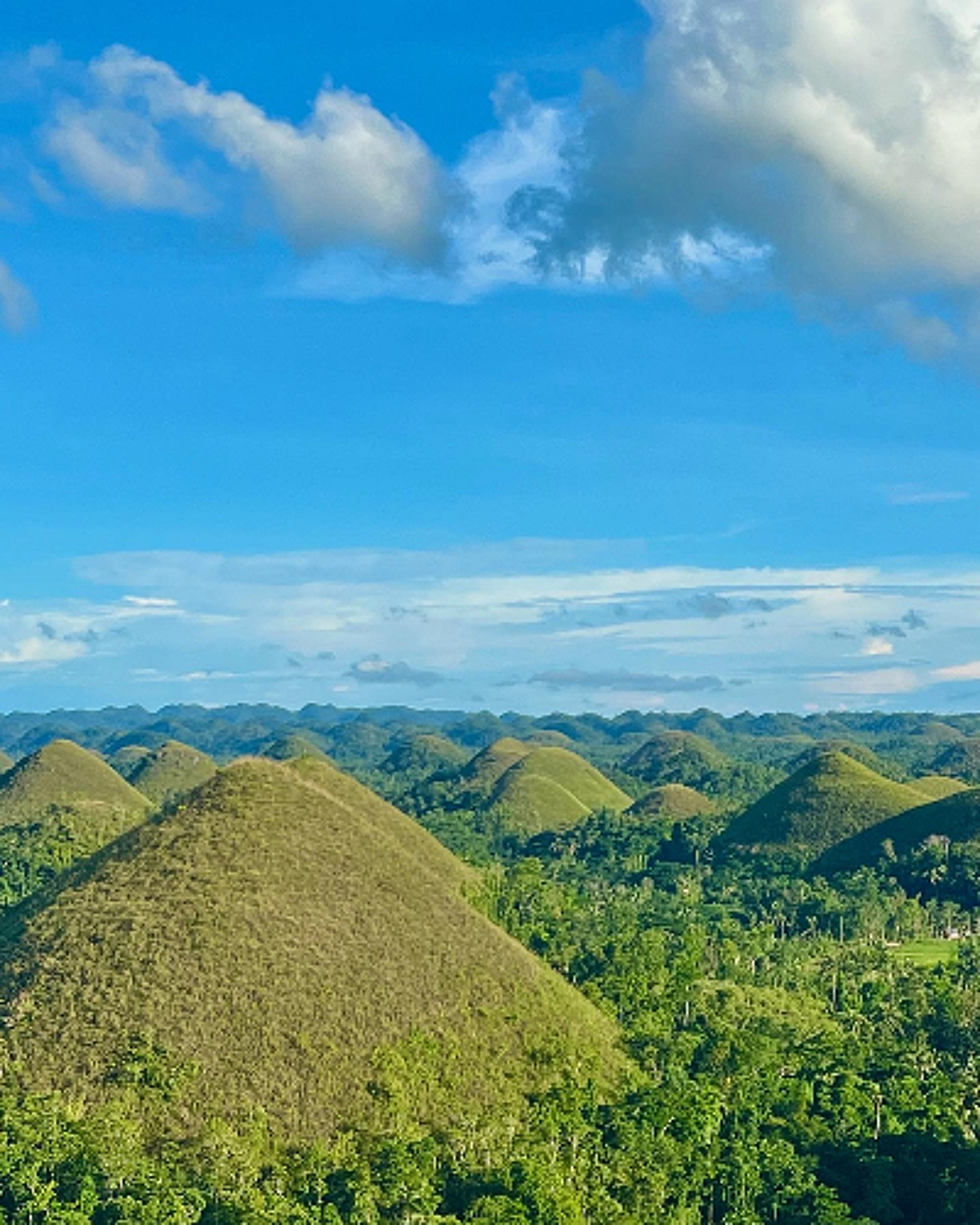 노랑풍선, 자연·휴식·체험 모두 담은 '보홀5일 반자유 패키지' 선보여