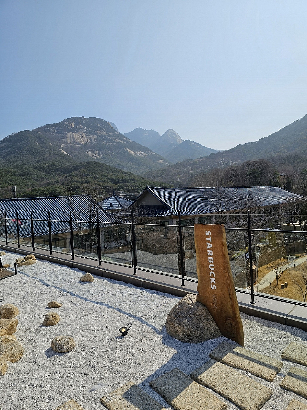 [르포] 힐링하려 찾았는데…빛 좋은 스타벅스 D매장의 숙제 - 머니투데이