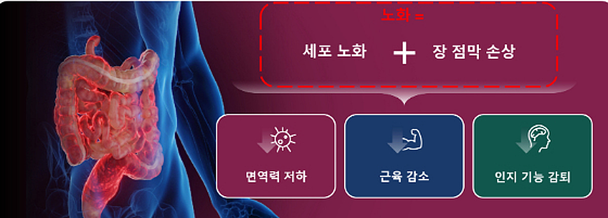 지아이이노베이션, 항노화 올림픽 '엑스프라이즈 헬스스팬' 결승 도전 - 뉴스 썸네일 이미지