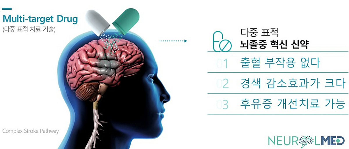뇌졸중 신약 개발기업 뉴롤메드, KB인베스트 등 시드 투자 유치 - 뉴스 썸네일 이미지