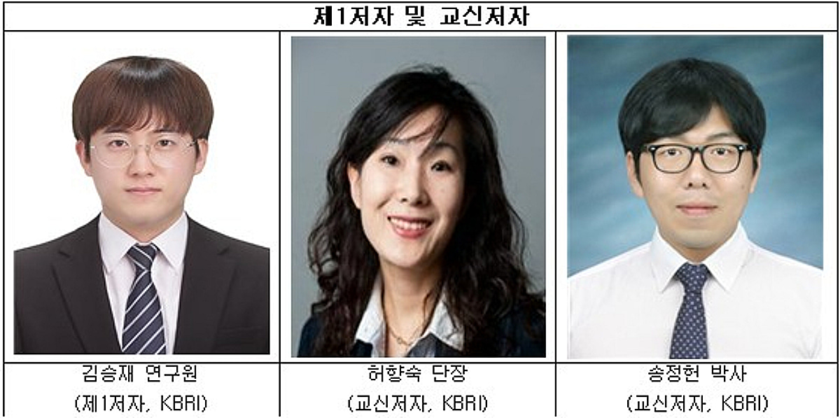 "게임 하면서 ADHD 진단"…AI가 아형까지 85% 정확도로 분류 - 머니투데이