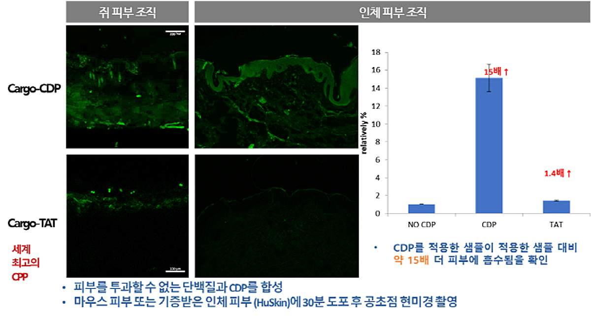 칸젠, JPM 헬스케어 컨퍼런스 참가...세계 최고 수준 CDP 전달기술로 혁... - 뉴스 썸네일 이미지