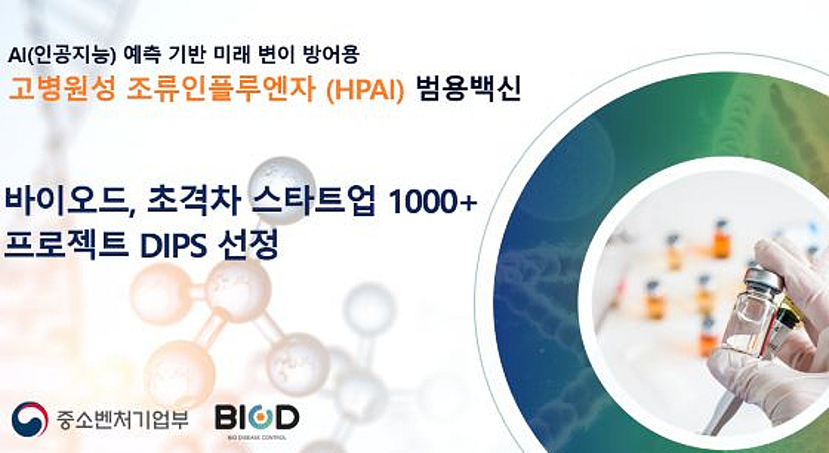 바이오드, '초격차 스타트업 1000+(DIPS)' 선정...AI 범용백신 개발 - 뉴스 썸네일 이미지