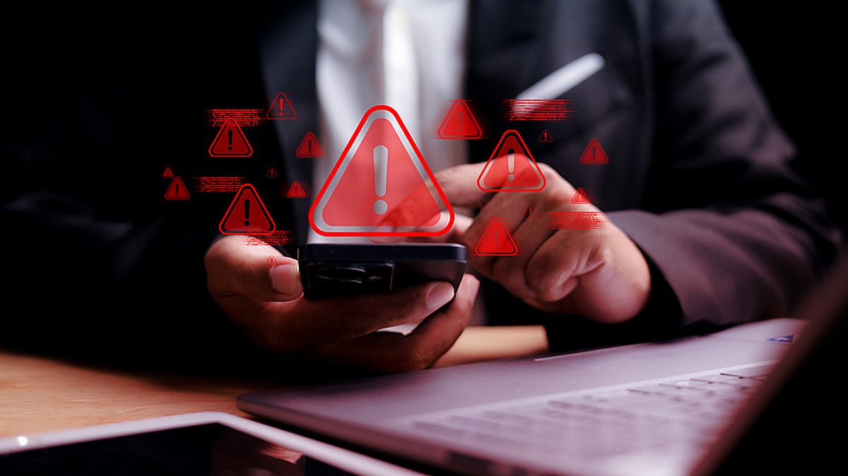 머니투데이 관련 기사 이미지