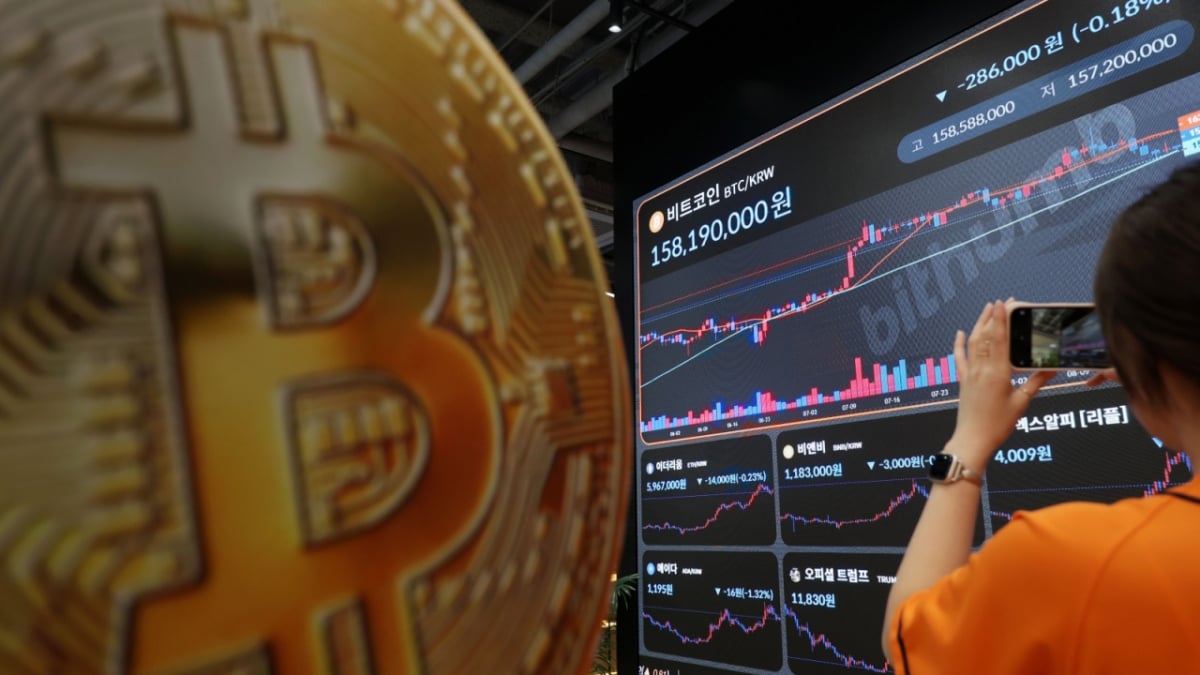 금리 인하 기대감에 코인 시장 회복세…비트코인 11만5000달러 재돌파 - 머니투데이