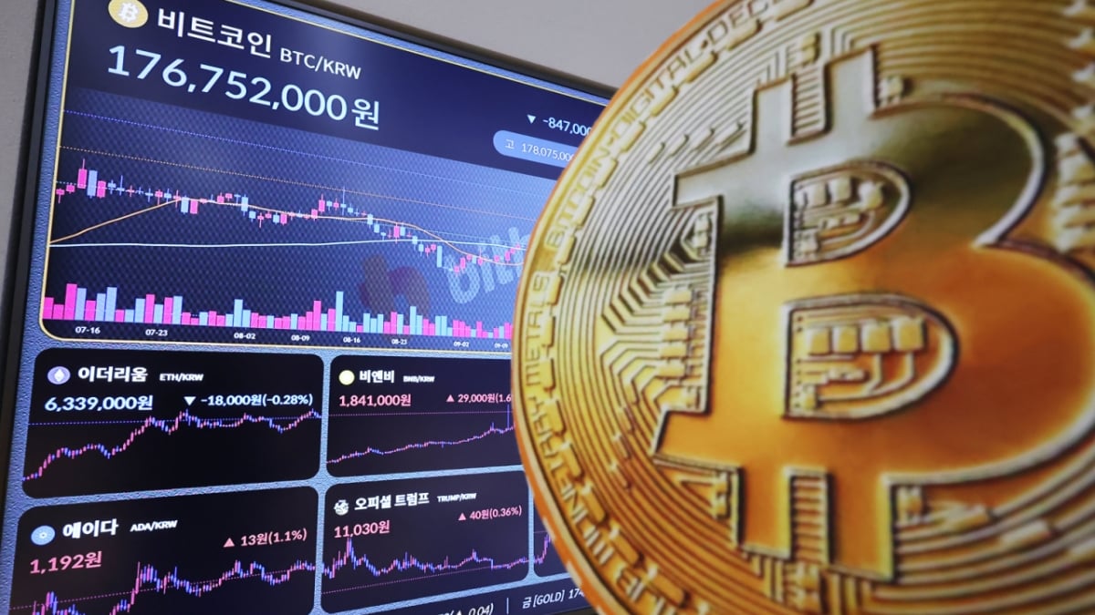 살걸 할 때 살걸