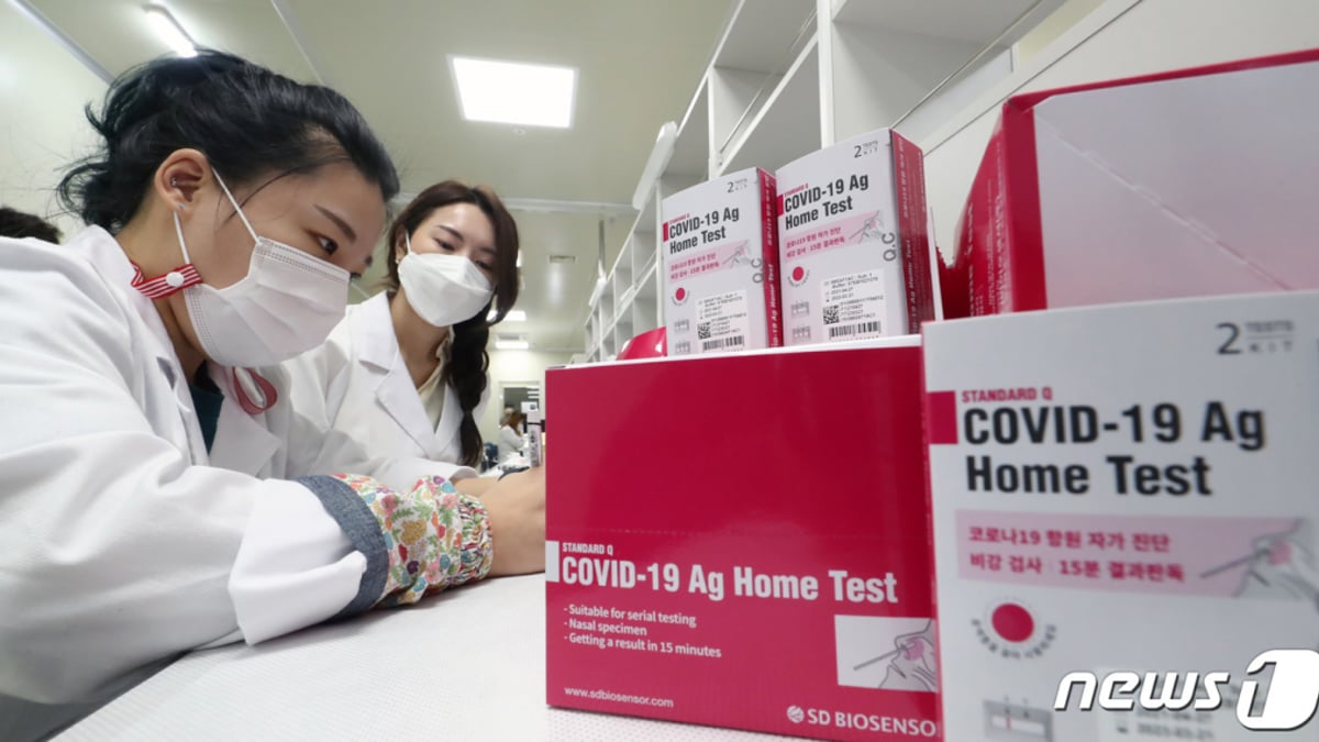 에스디바이오센서, 3분기 호실적 냈지만 역성장 전망되는 이유는? - 머니투데이