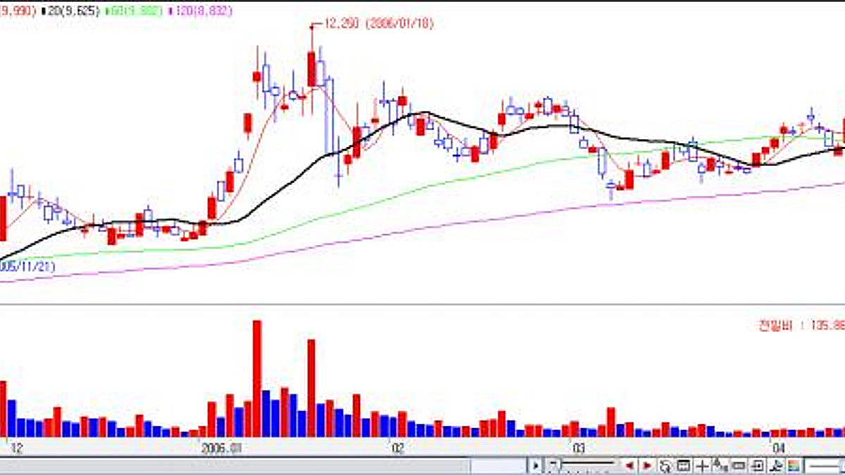 세력이 매집하는 양봉이란 무엇인가 - 머니투데이