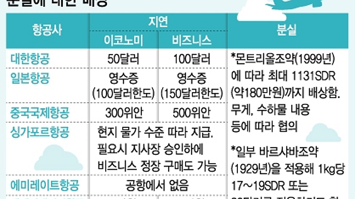 급증하는 해외여행, 당신의 수하물이 없어졌다면? - 머니투데이