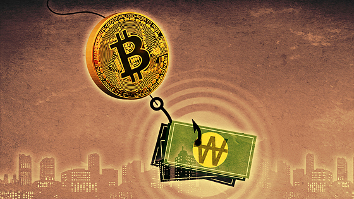 압수한 비트코인이 5억→105억, 처분은 어떻게 하나 - 머니투데이