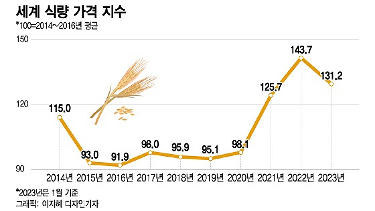 곡물파동에 밥상물가 요동…100년 데이터 분석해 해법찾는 기업들 - 머니투데이
