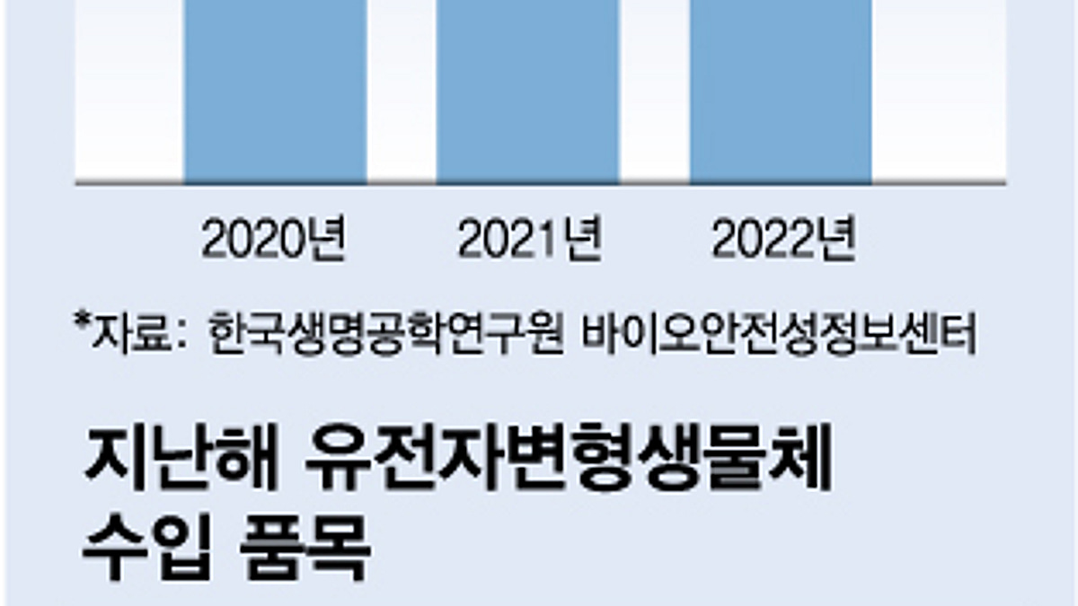 유전자변형식품, 이미 내 식탁에?…꼼꼼히 따져 산 당신이 놓친 것 - 머니투데이
