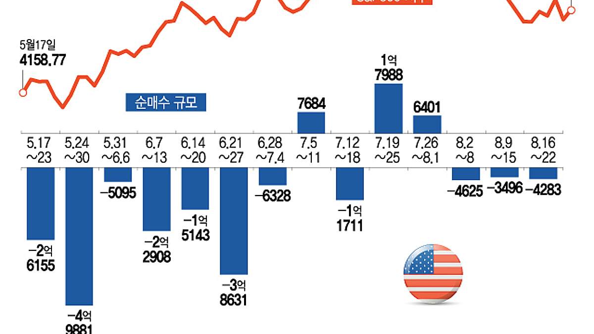 엔비디아 1억불 샀는데 주가 왜 이래?…시스코 악몽에 한숨[서학픽] - 머니투데이