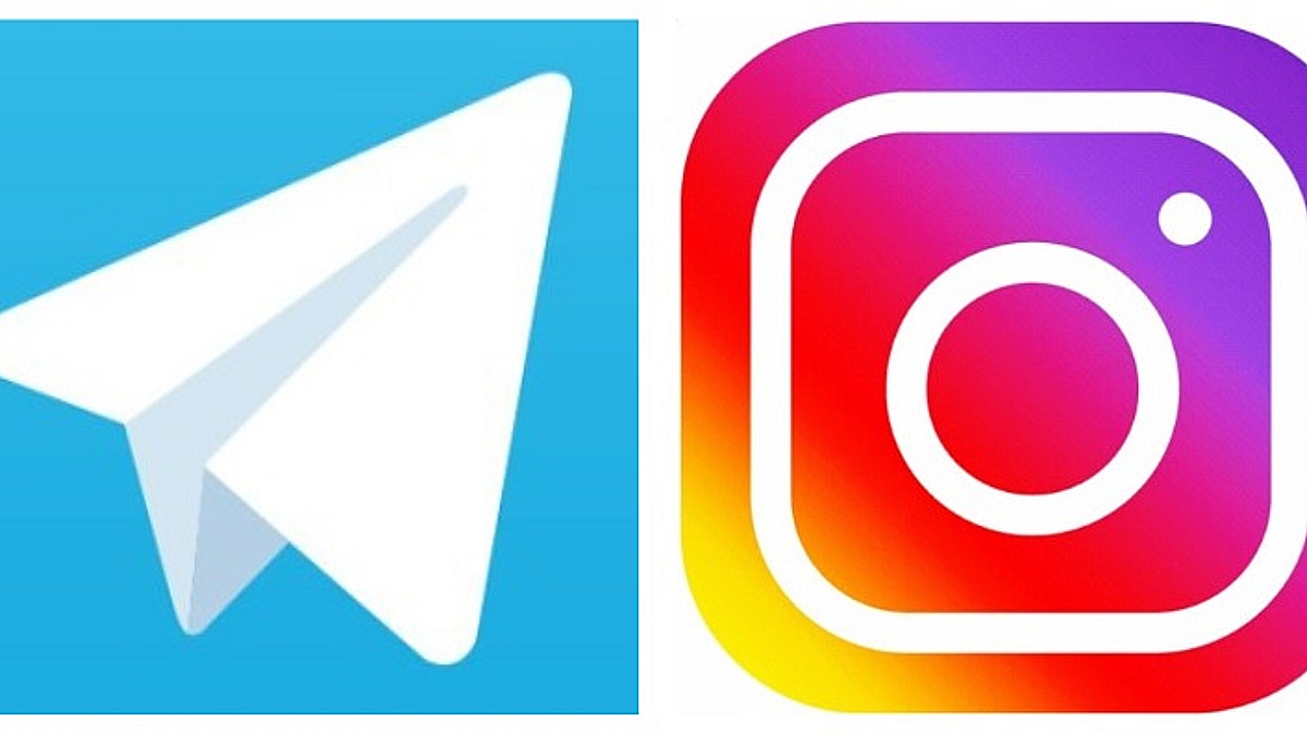 마약·성착취 판치는데 모르쇠…