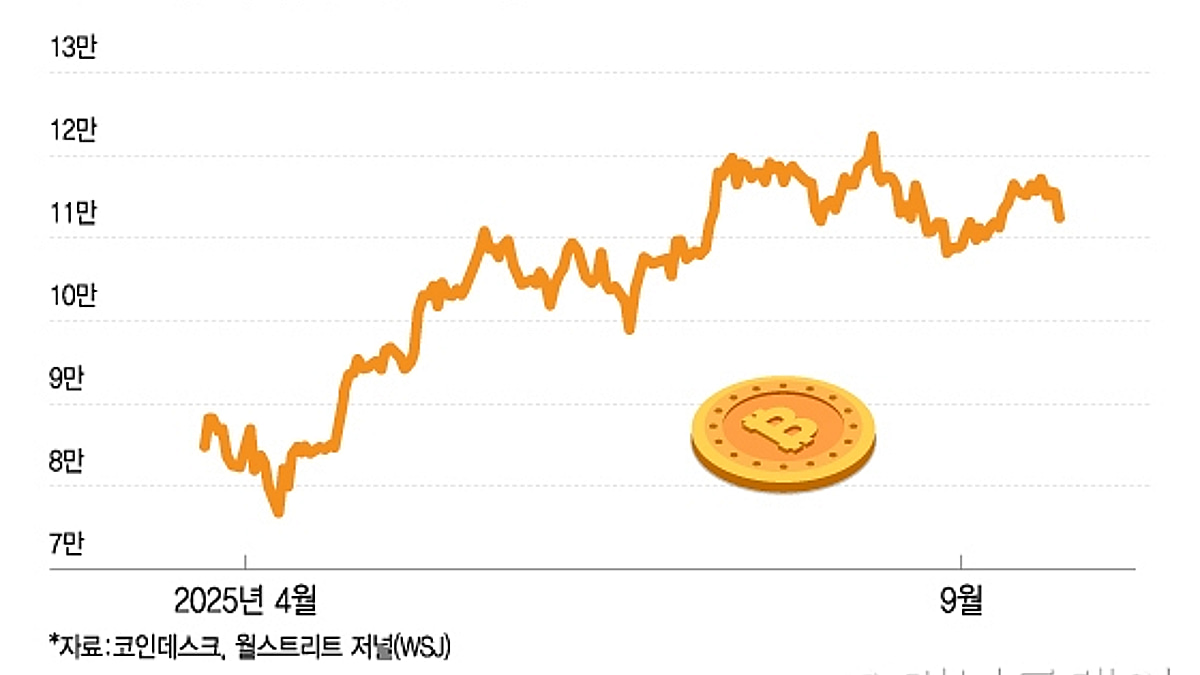 100배 대박 아니면 쪽박…