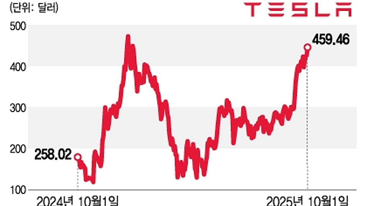 테슬라, 사상최고가 경신하나…차트상 520달러까지 모멘텀 유효[오미주] - 머니투데이
