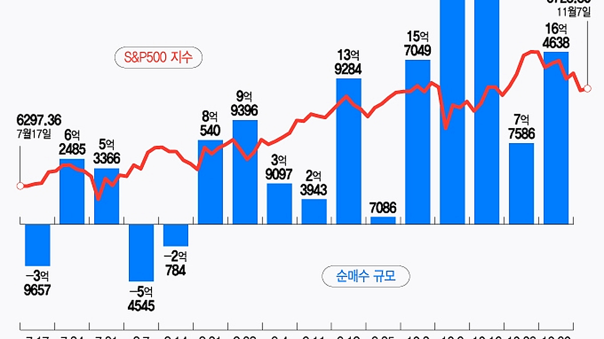 급락한 메타에 한주간 8억불 상승 베팅…엔비디아·팔란티어도 저가 매수[서학픽] - 머니투데이