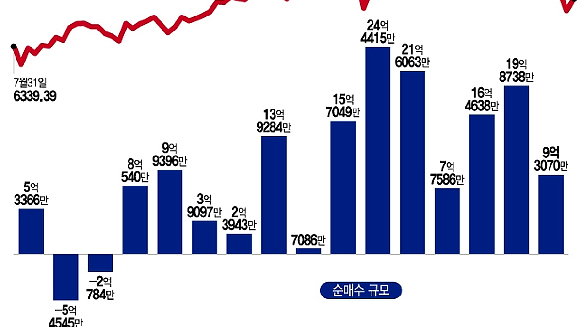 조정 깊어지자 순매수 규모 축소…알파벳·엔비디아·아이온큐 샀다[서학픽] - 머니투데이