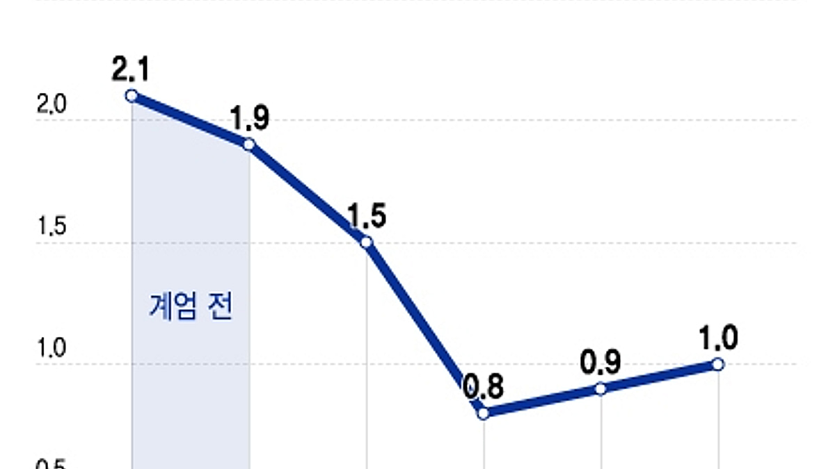 계엄 후 1년…반토막 난 성장률, 급등한 환율 - 머니투데이