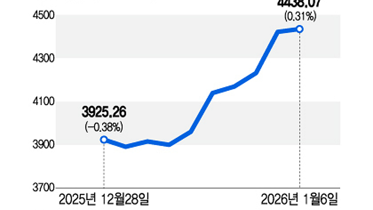 알트코인까지 급등… 가상자산 훈풍 - 머니투데이