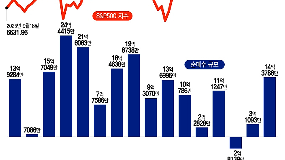 연초부터 美 증시 매수 폭발…테슬라는 저가 매수, 마이크론은 추격 매수[서학픽] - 머니투데이