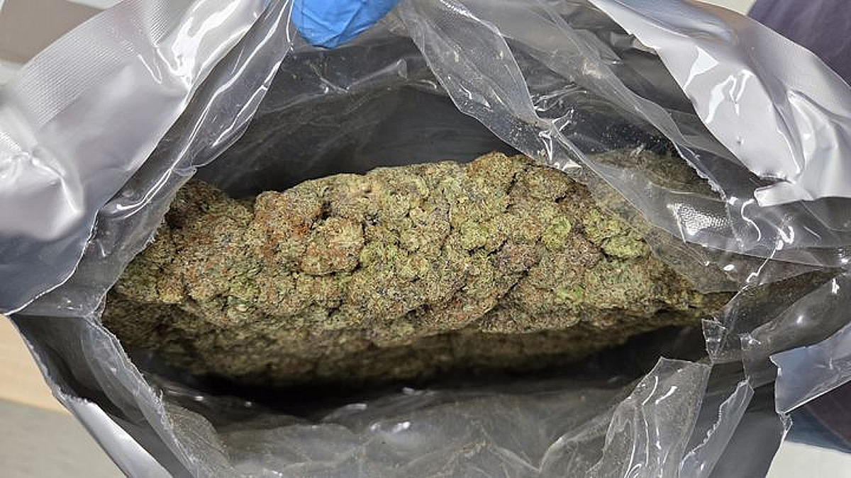 태국선 100만 원인데 한국선 1억? 대마 밀수한 야쿠자 잡힘