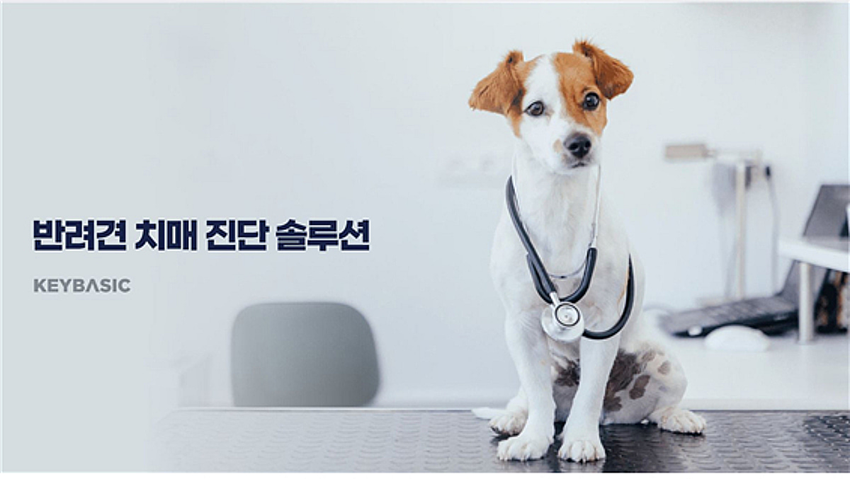 '반려견 치매 진단키트'...키베이직, 씨엔티테크서 투자유치 - 뉴스 썸네일 이미지