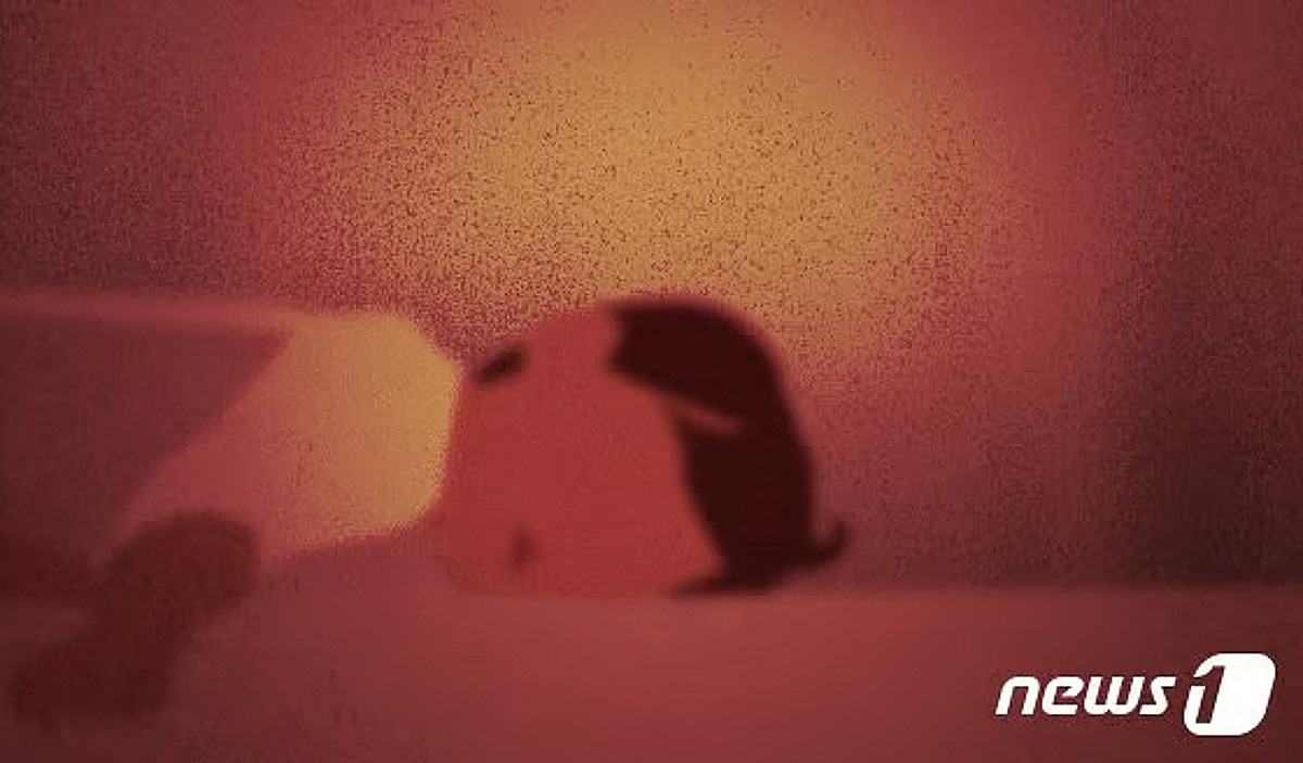 코인투자 실패·생활고로 3살 딸 살해…혼자 살아남은 아빠, 죗값은[뉴스속오늘] - 머니투데이